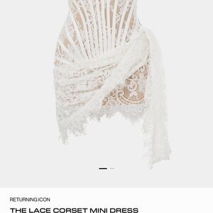 Icon Lace Corset Mini Dress